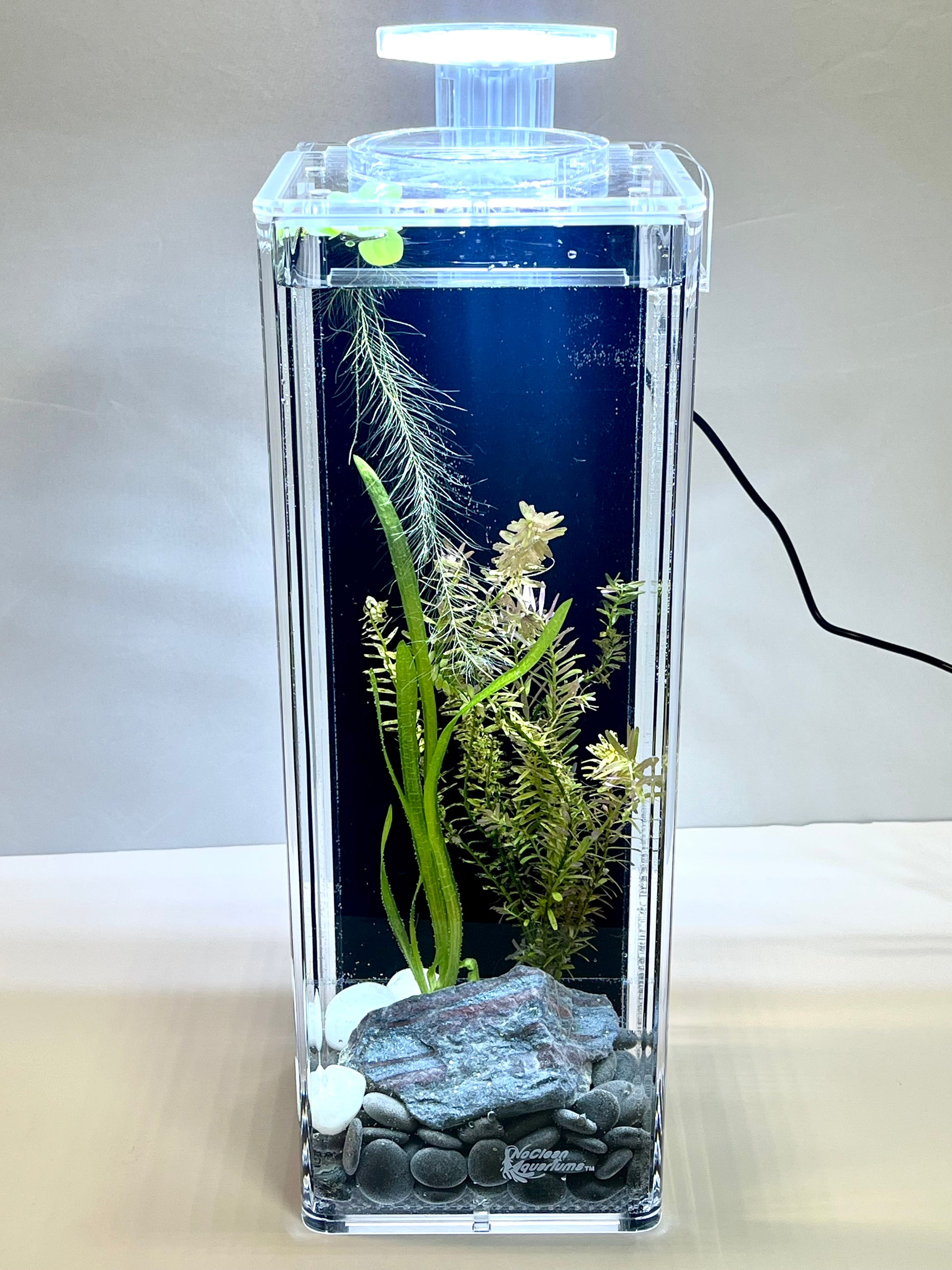 black box clean fish tank Hassle-Free, Self-Cleaning Fish Tank | Planted Vase Aquarium