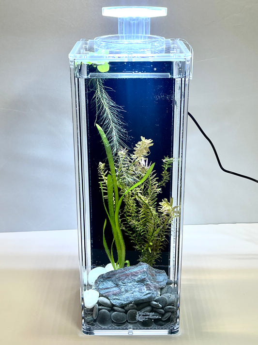 Hassle-Free, Self-Cleaning Fish Tank | Planted Vase Aquarium | 1.20-Gallons