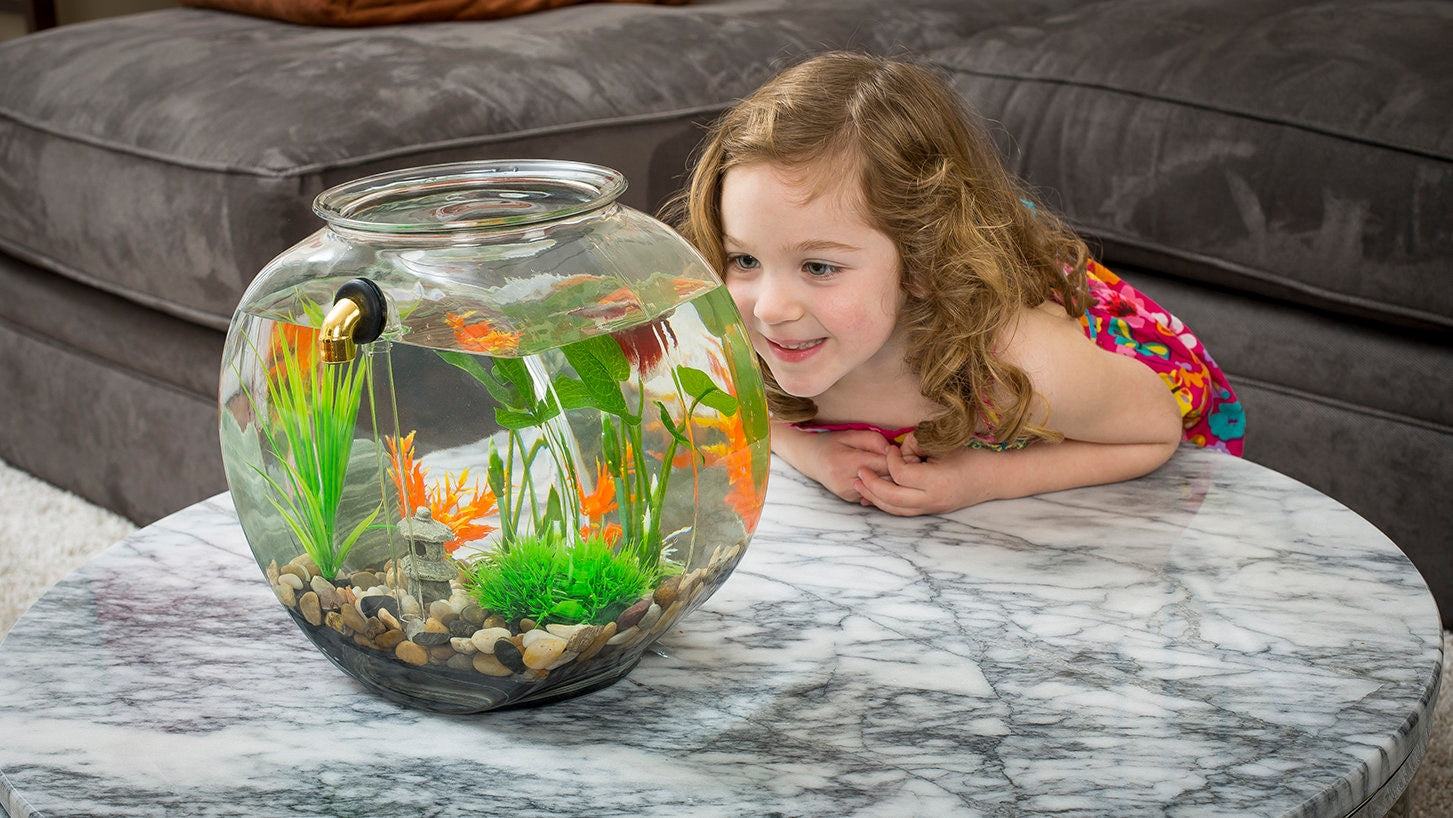 Self cleaning fish tank for clearance goldfish