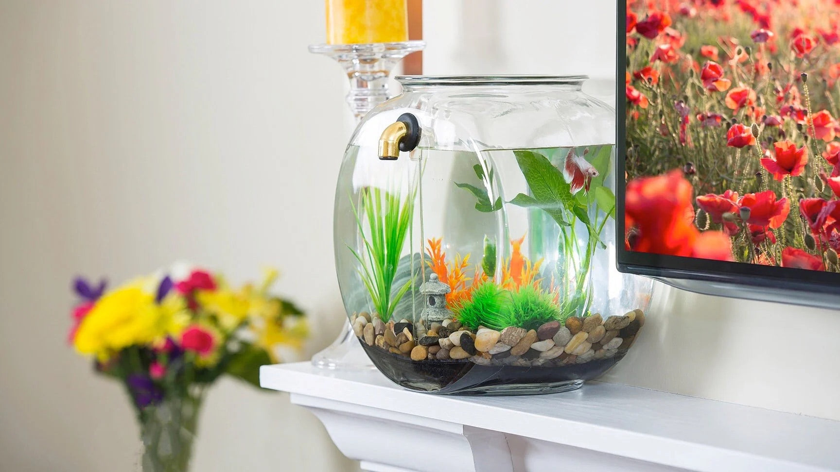 Self cleaning fish deals tank for goldfish