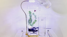 Load and play video in Gallery viewer, H2FLO Self-Cleaning Betta Fish Aquariums with LED + River Stones + Food
