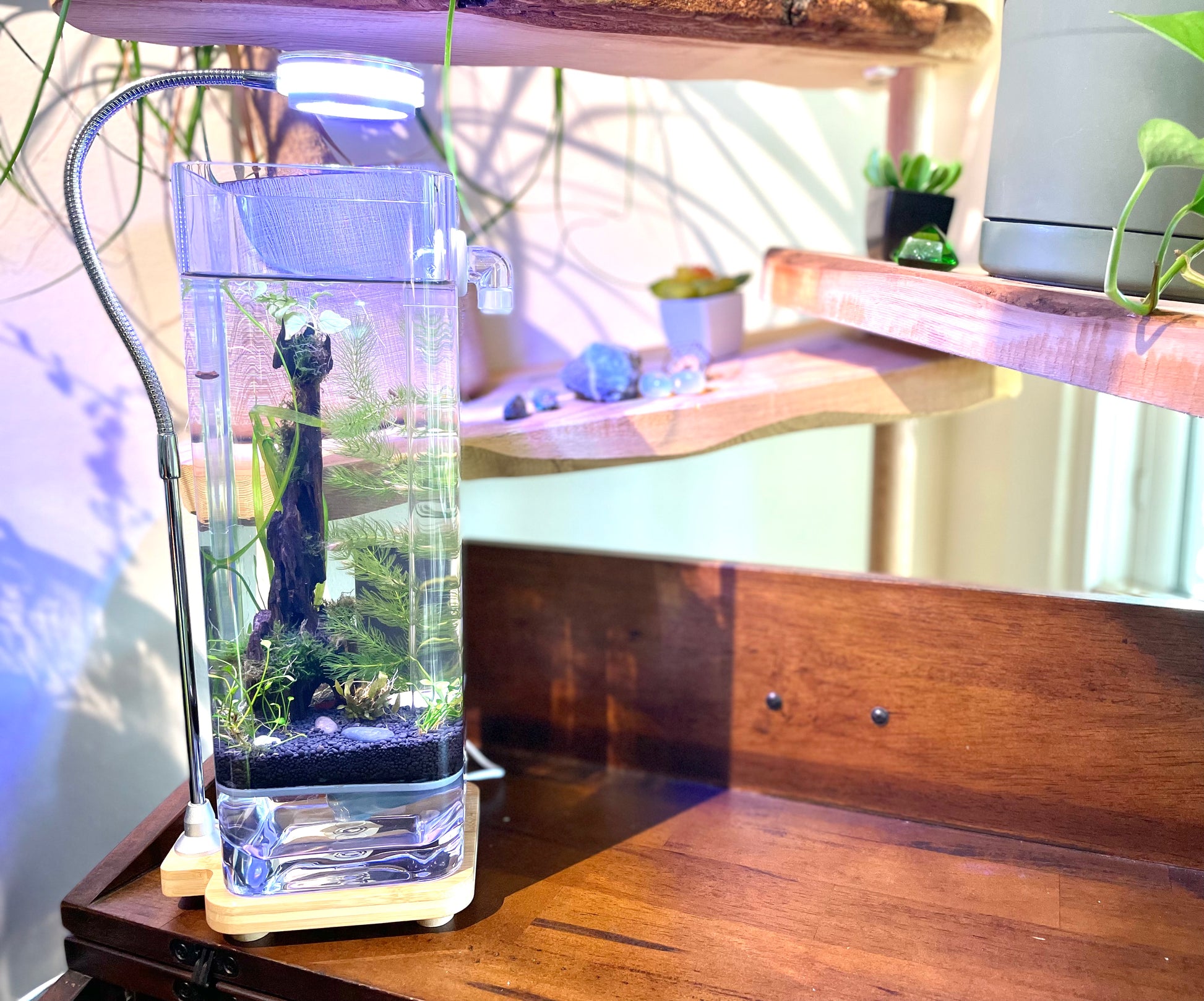 Shrimp top tank kit