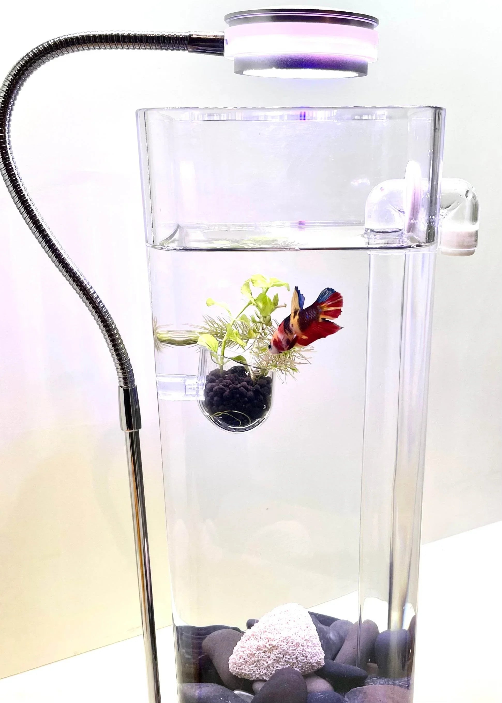 plastic plant anchors Clear Aquascape Planter + Lead Anchor for Aquarium Plants – NoClean Aquariums