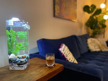 Load image into Gallery viewer, H2FLO Self-Cleaning Betta Fish Aquariums with LED + River Stones + Food
