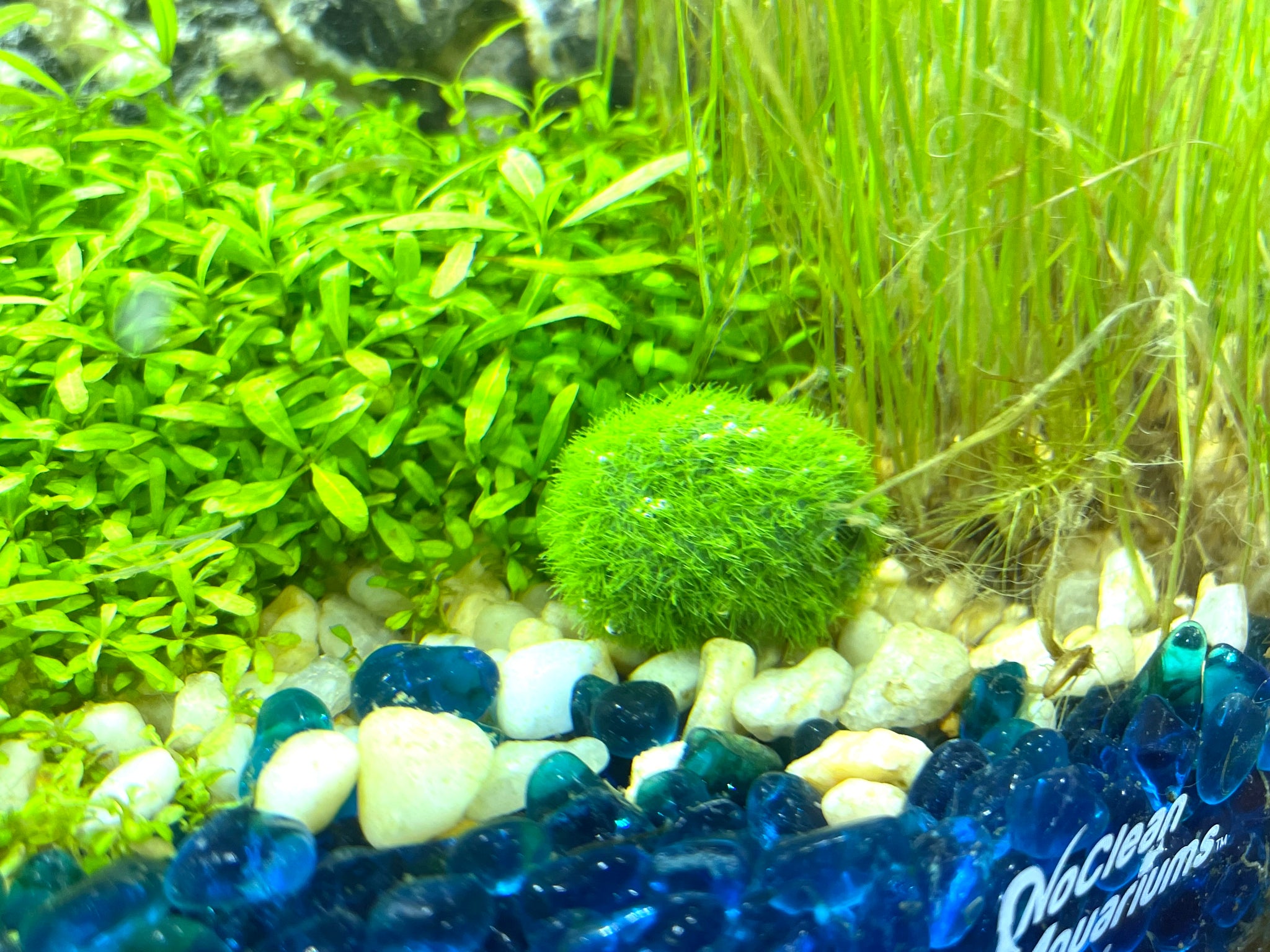 PetPhindU 3pcs Fish Tank Decorations Moss Balls for Fish Tank Simulation  Fake Moss Stone Flocking Resin Green Algae Ball Micro-Landscape Green Grass