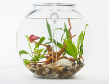 Load image into Gallery viewer, DIY Self Cleaning Conversion Kit for Anchor Hocking, 2 Gallon Fishbowl
