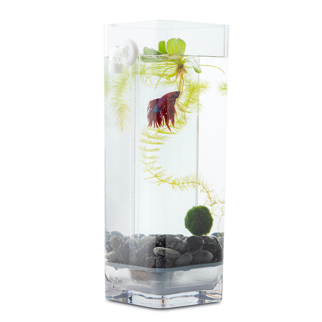 H2Flo Self Cleaning Betta Fish Tank + River Stones (FREE U.S. SHIPPING)