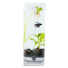 Load image into Gallery viewer, H2Flo Self Cleaning Betta Fish Tank + River Stones (FREE U.S. SHIPPING)
