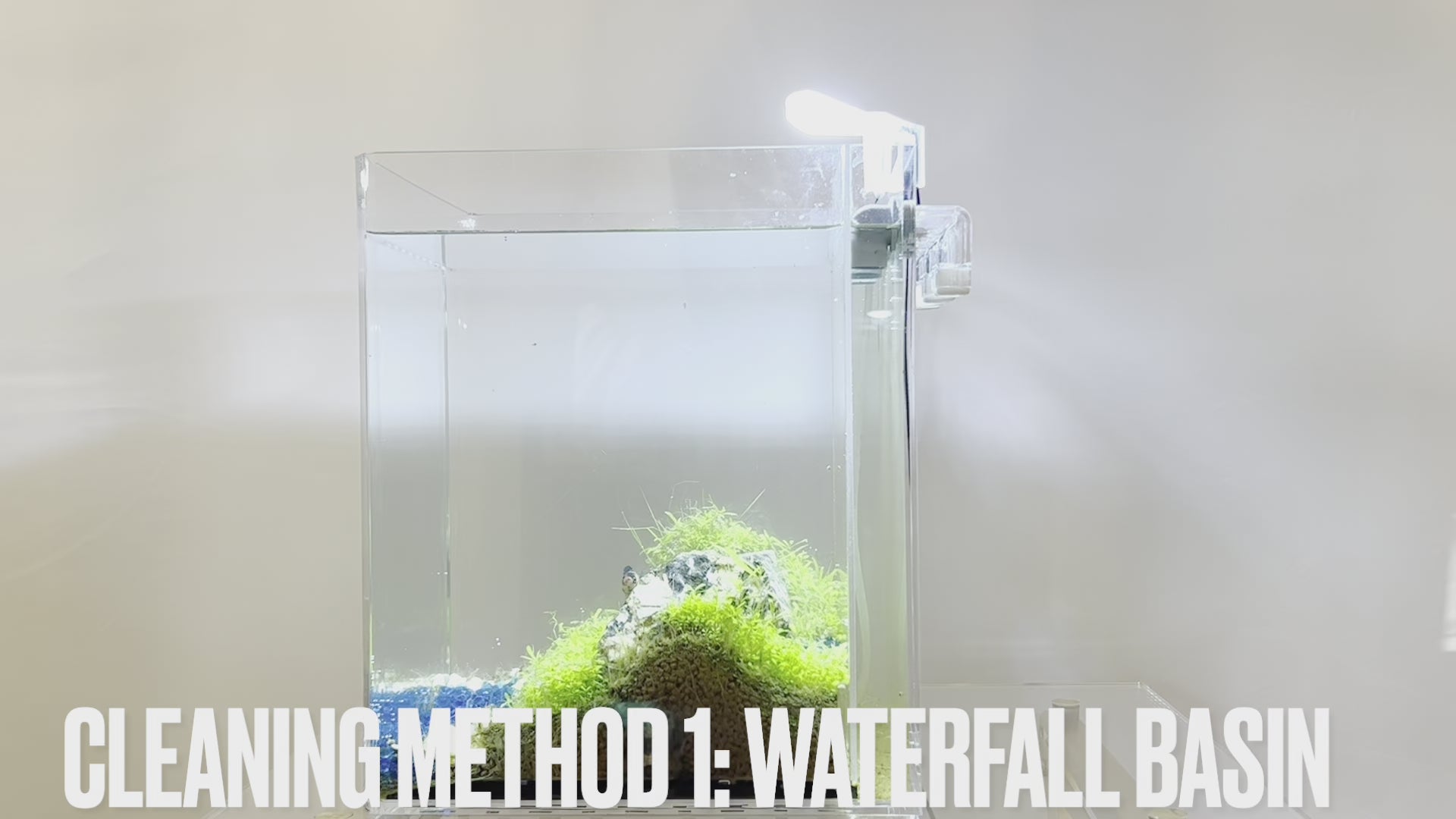 WATERFALL BASIN, Easy Water Changes